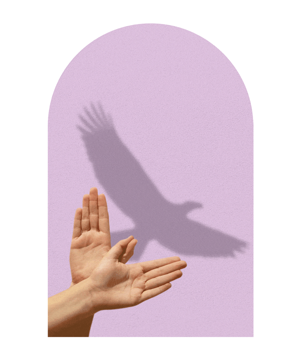 shadow-puppet-small2